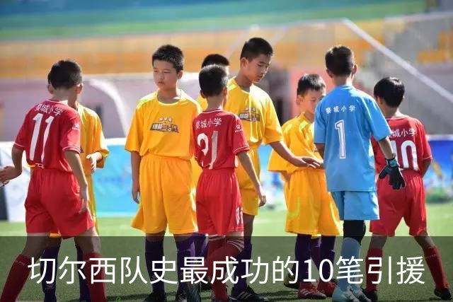 切尔西队史最成功的10笔引援
